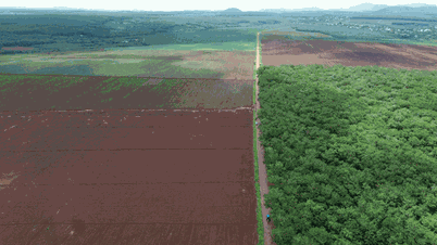 La provincia de Gia Lai aprueba una resolución sobre la política de tierras para las minorías étnicas.