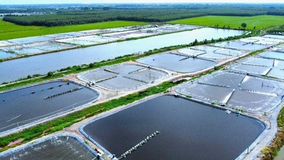 El Ministerio de Agricultura y Medio Ambiente ha publicado un plan para el desarrollo de políticas para la Ley de Pesca.