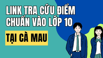 Berikut tautan untuk memeriksa skor ujian masuk kelas 10 di Ca Mau untuk tahun ajaran 2026-2027.