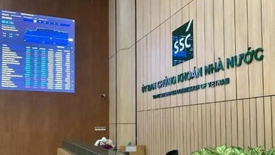 Komise pro cenné papíry uložila pokutu společnosti Hoang Ngan Son Trading Company.
