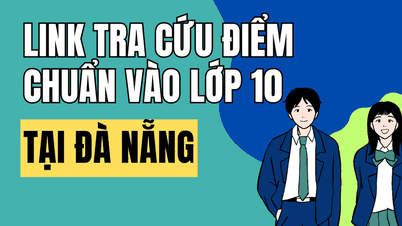 Link per consultare i risultati dell'esame di ammissione alla decima classe a Da Nang per l'anno scolastico 2026-2027.