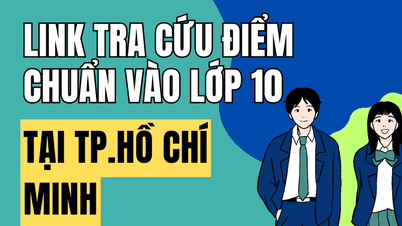 Enlace para consultar las calificaciones del examen de ingreso al décimo grado en Ciudad Ho Chi Minh para el año académico 2026-2027.