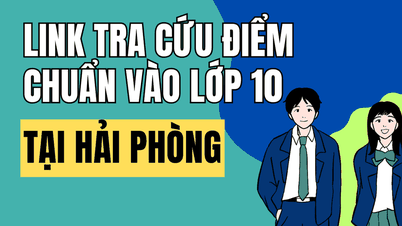 Enlace para consultar las calificaciones del examen de ingreso al décimo grado en Hai Phong para el año escolar 2026-2027.