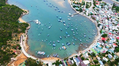 Khanh Hoa raconte l'histoire du tourisme à travers le cinéma avec le projet « Toucher l'été à Khanh Hoa ».