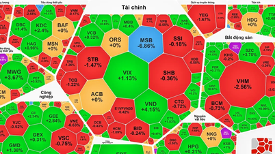 Con i capitali che restano fuori dal mercato, l'indice VN continua a scendere bruscamente.