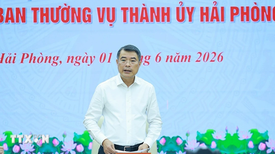 Premier: Hai Phong musi przejąć inicjatywę w zakresie innowacji swojego modelu wzrostu i transformacji cyfrowej.