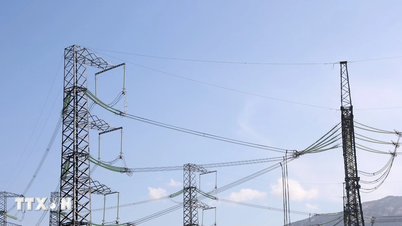 Das Solarkraftwerk TTC Duc Hue 2 wird im Rahmen eines direkten Stromabnahmevertrags betrieben.