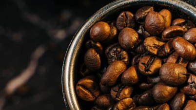 Harga kopi pada 29 Mei: Harga pasaran domestik meningkat sebanyak 1,400 VND, mencecah 89,200 VND/kg.