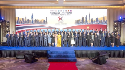Amata VN bekräftigt ihre Position im Thailand-Vietnam-Forum.