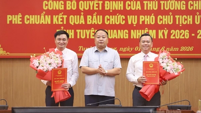 Bekendmaking van het besluit van de premier tot goedkeuring van de verkiezingsuitslag van de vicevoorzitter van het Volkscomité van de provincie Tuyen Quang.