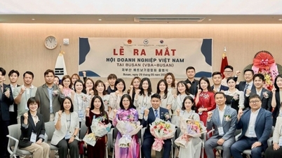 พิธีเปิดสมาคมธุรกิจเวียดนามในเมืองปูซาน (เกาหลีใต้)