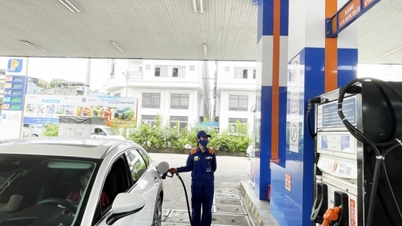 Quang Ninh inicia simultaneamente a venda de gasolina E10.