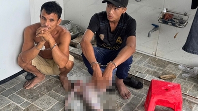 Fem personer gripna för olaglig jakt på nio silverlangurer i Phu Quoc.