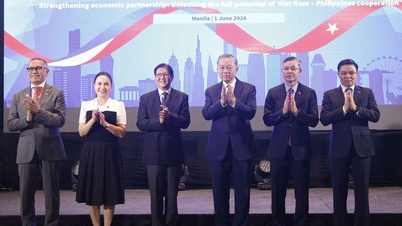 Impulsar la cooperación económica entre Vietnam y Filipinas.