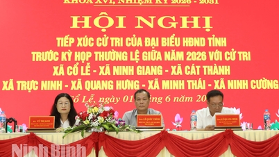 Kamrat Le Quoc Chinh, biträdande sekreterare i den provinsiella partikommittén och ordförande för det provinsiella folkrådet, träffade väljare i Co Le kommune.