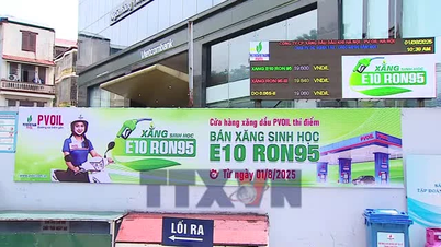 Introduksjon av E10-bensin: Folk burde ikke være altfor bekymret.