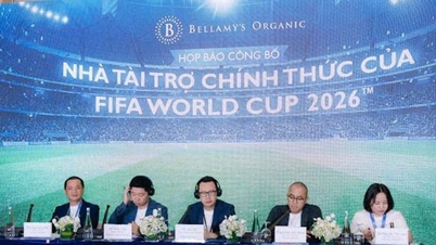 Banyak aktiviti sedang diadakan di Vietnam sempena Piala Dunia 2026.