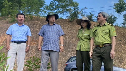 Phó Chủ tịch UBND tỉnh Dương Mah Tiệp kiểm tra công tác quản lý, bảo vệ rừng và PCCC rừng tại xã An Lão