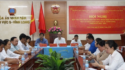 Bầu Trưởng đoàn, Phó Trưởng đoàn Hội thẩm nhân dân Tòa án nhân dân khu vực 5, 7 và 8