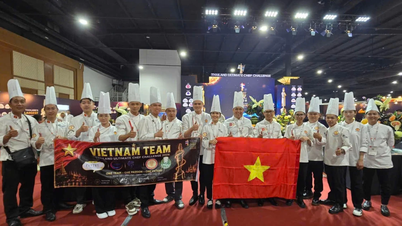 Việt Nam gặt hái thành tích ấn tượng tại Cuộc thi Đầu bếp tài năng Thái Lan 2026