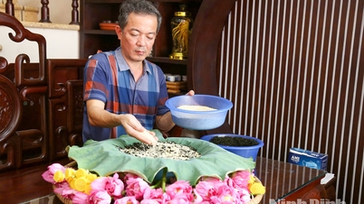 چای دم‌کرده نیلوفر آبی: یک گزینه اقتصادی مناسب در مناطق کم‌ارتفاع.