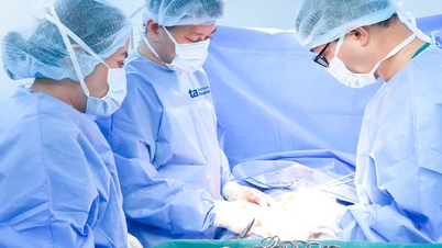 Bí tiểu, bụng căng cứng, người phụ nữ phát hiện cùng lúc 3 khối u xơ tử cung