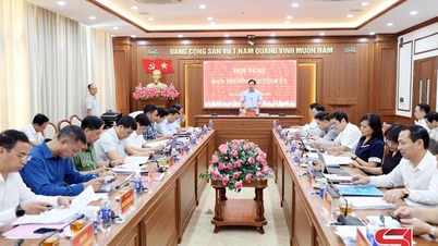 Ban Thường vụ Tỉnh ủy xem xét, quyết định một số nội dung theo thẩm quyền
