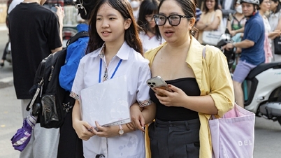 The first specialized high school in Hanoi announces the entrance exam scores for 10th grade: The highest score is 20.25 points.