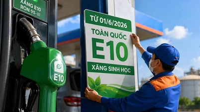Vietnam'daki Mitsubishi, Suzuki ve Yamaha markaları, araçlarının E10 benzinle uyumlu olduğunu garanti ediyor.
