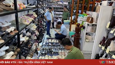 អាជ្ញាធរបានរឹបអូសផលិតផលស្បែកជើងក្លែងក្លាយចំនួន ១០០ មុខនៅខេត្តនិញប៊ិញ។