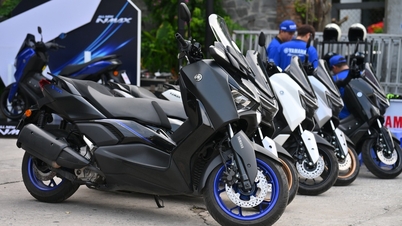 ສັນຍະລັກໃດຢູ່ໃນລົດຈັກ Yamaha ທີ່ຊີ້ບອກວ່າມັນສາມາດໃຊ້ນໍ້າມັນເຊື້ອໄຟ E10 ໄດ້?