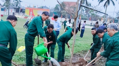 Veteran di wilayah Nghe An telah melaksanakan banyak model dan tindakan praktikal untuk melindungi alam sekitar.