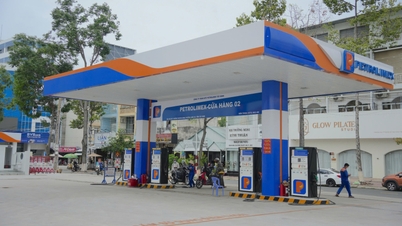 Tay Ninh telah menyelesaikan persiapan dan siap meluncurkan penjualan bensin E10 mulai 1 Juni.