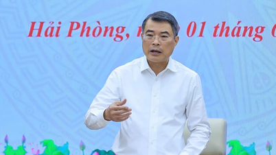 Hai Phong City måste bli en pionjärort i genomförandet av centralregeringens viktiga politik.