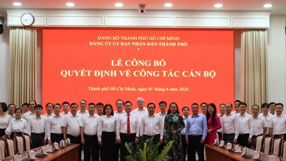 Kota Ho Chi Minh telah memindahkan dan menunjuk banyak pemimpin kunci.