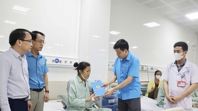 446 union members and workers in Nghe An province suffering from serious illnesses received support.