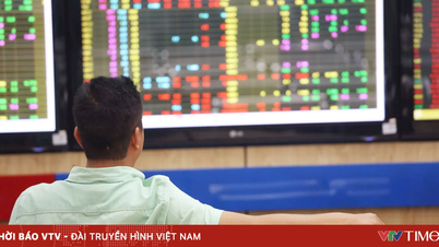 Der VN-Index fiel in der ersten Handelssitzung im Juni um fast 19 Punkte.