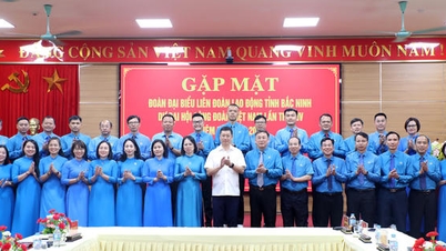 Bac Ninh İl İşçi Federasyonu, Vietnam Sendikalar Birliği'nin 13. Kongresi'ne katılacak heyete görev dağıtmak üzere bir toplantı düzenledi.