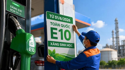 E10-Benzin ist Teil einer langfristigen Energiewende-Strategie.