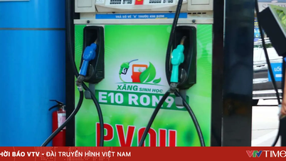Ministerstwo Przemysłu i Handlu zwróciło się do producentów samochodów z prośbą o przygotowanie planów wsparcia konsumentów przechodzących na benzynę E10.