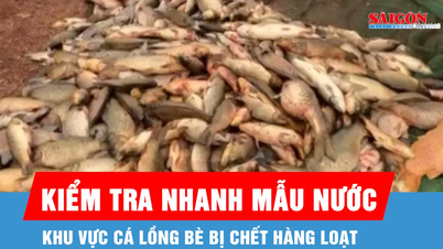 Dong Nai: Snelle tests van watermonsters in het gebied waar massale vissterfte heeft plaatsgevonden.