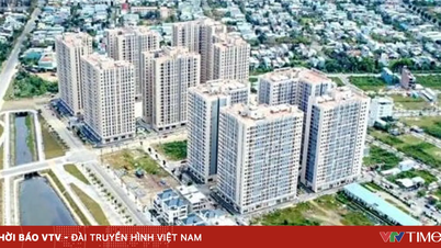 Jaki jest maksymalny dochód wymagany do zakupu mieszkania socjalnego w Da Nang?