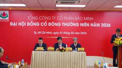 Bao Minh exceeds profit target, to pay a 15% dividend in 2025.