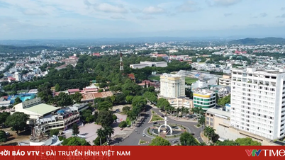 Khanh Hoa attua numerose politiche a sostegno dello sviluppo dell'economia privata.