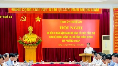 ង៉េអាន ពិនិត្យឡើងវិញរយៈពេលមួយឆ្នាំនៃប្រតិបត្តិការនៃប្រព័ន្ធរដ្ឋាភិបាលមូលដ្ឋានពីរជាន់។
