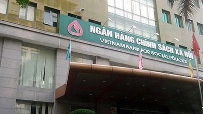 Slutsats av inspektionen av Social Policy Bank i Cao Bang-provinsen.
