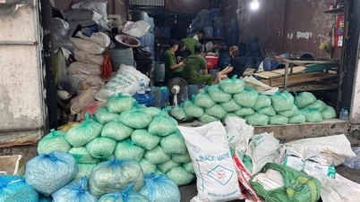 Empat orang di Bandar Raya Ho Chi Minh telah didakwa kerana menghasilkan lebih 1,000 tan tauge menggunakan bahan kimia.