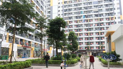 Bac Ninh bertujuan untuk mengembangkan 10.000 rumah sewa dan unit akomodasi pekerja.