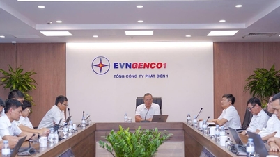 EVNGENCO1: خشک موسم کے عروج کے دوران بجلی کی فراہمی کو یقینی بنانے پر پوری توجہ مرکوز کرنا۔