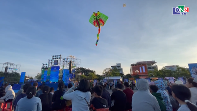 Künstlerische Drachenvorführung „Quang Ngai Soars High“
